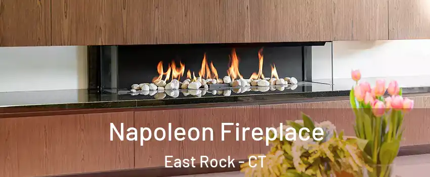 Napoleon Fireplace East Rock - CT