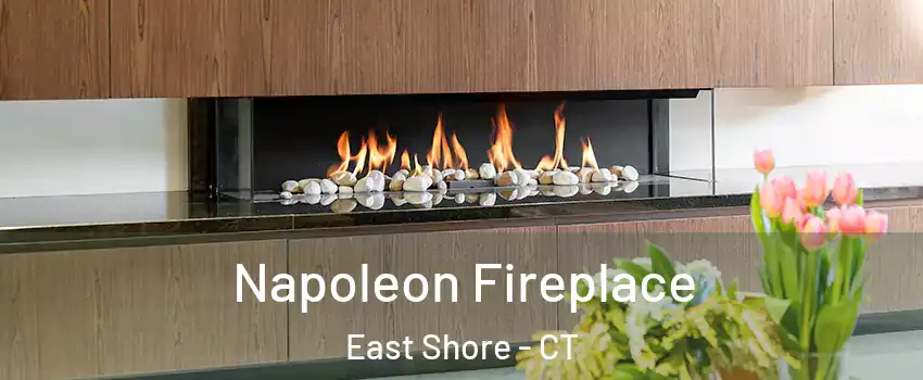 Napoleon Fireplace East Shore - CT