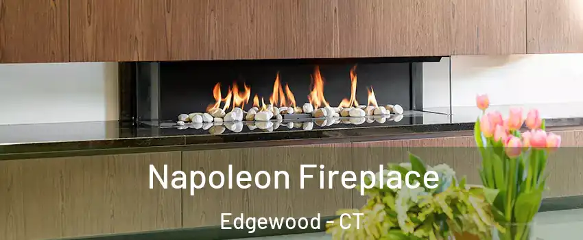 Napoleon Fireplace Edgewood - CT