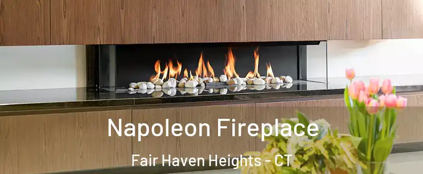 Napoleon Fireplace Fair Haven Heights - CT