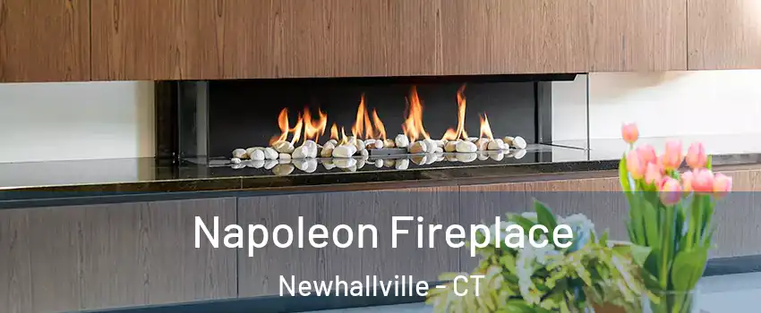 Napoleon Fireplace Newhallville - CT