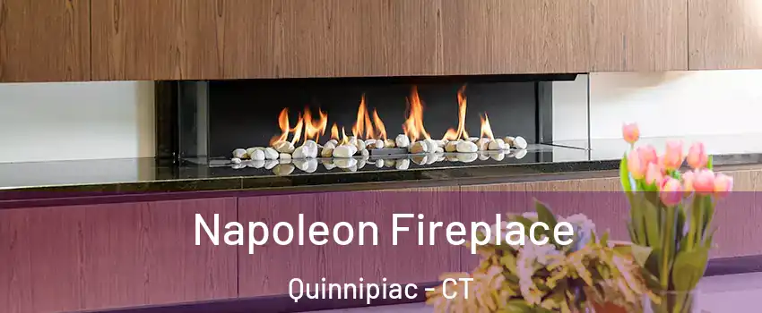 Napoleon Fireplace Quinnipiac - CT
