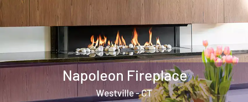 Napoleon Fireplace Westville - CT