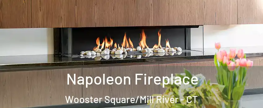 Napoleon Fireplace Wooster Square/Mill River - CT
