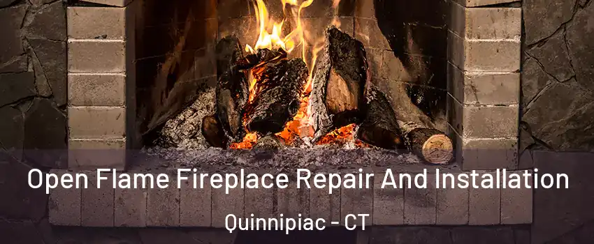 Open Flame Fireplace Repair And Installation Quinnipiac - CT