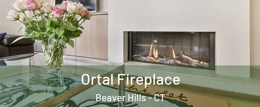Ortal Fireplace Beaver Hills - CT