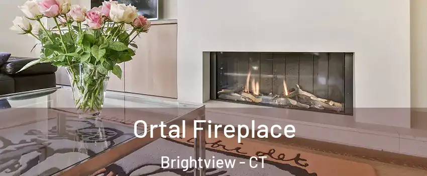Ortal Fireplace Brightview - CT
