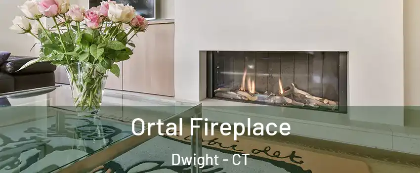 Ortal Fireplace Dwight - CT