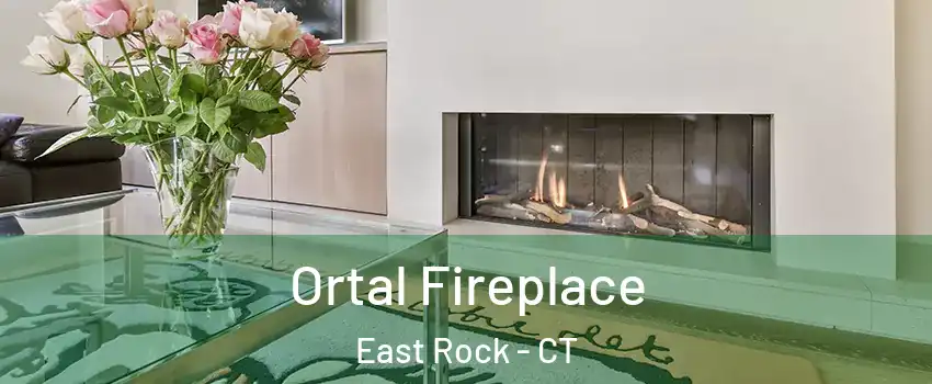 Ortal Fireplace East Rock - CT