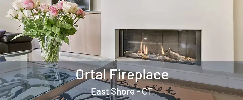 Ortal Fireplace East Shore - CT