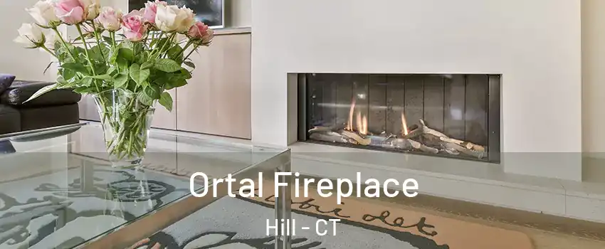 Ortal Fireplace Hill - CT