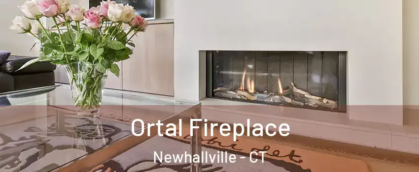 Ortal Fireplace Newhallville - CT