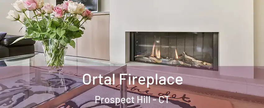 Ortal Fireplace Prospect Hill - CT