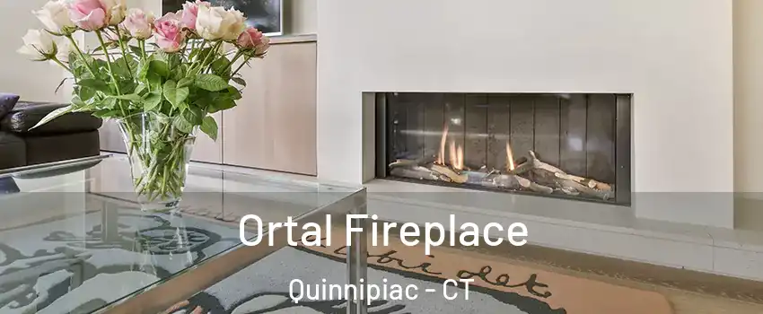 Ortal Fireplace Quinnipiac - CT