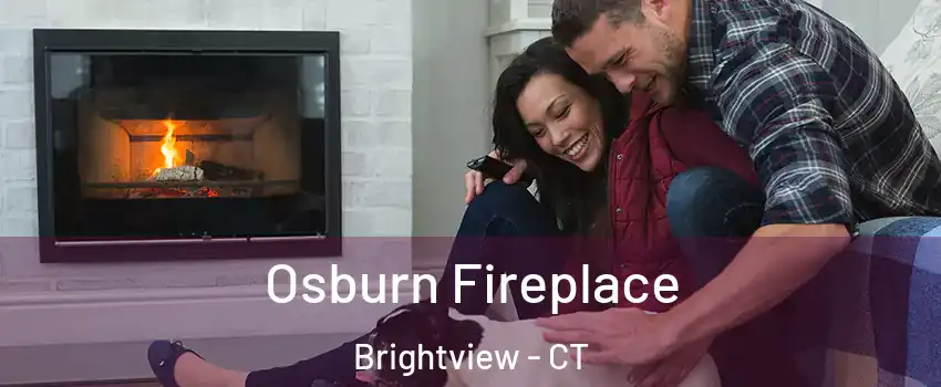 Osburn Fireplace Brightview - CT