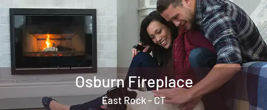 Osburn Fireplace East Rock - CT