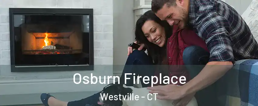 Osburn Fireplace Westville - CT