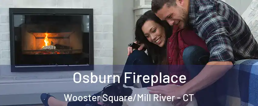 Osburn Fireplace Wooster Square/Mill River - CT