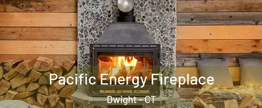 Pacific Energy Fireplace Dwight - CT