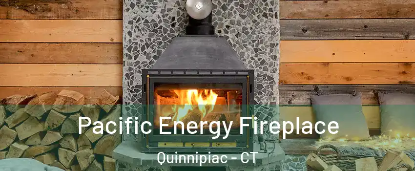 Pacific Energy Fireplace Quinnipiac - CT