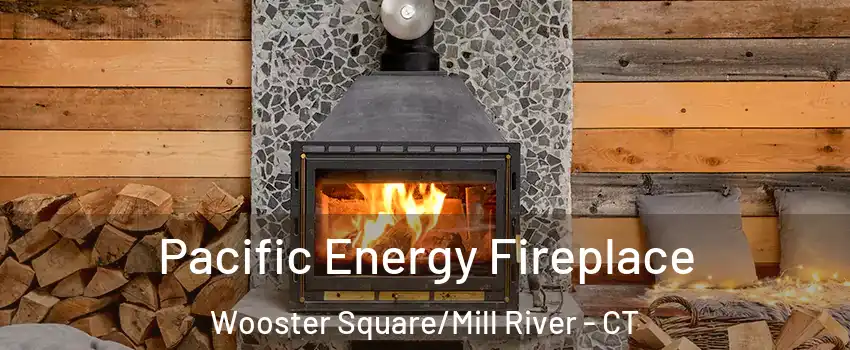 Pacific Energy Fireplace Wooster Square/Mill River - CT