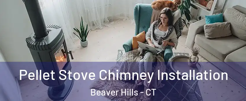Pellet Stove Chimney Installation Beaver Hills - CT