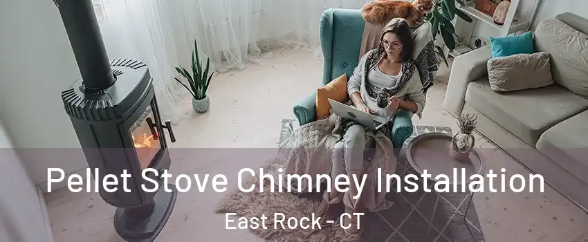 Pellet Stove Chimney Installation East Rock - CT