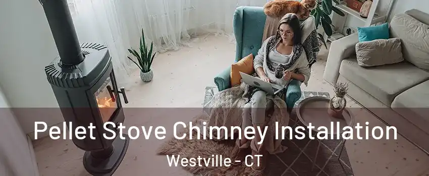 Pellet Stove Chimney Installation Westville - CT