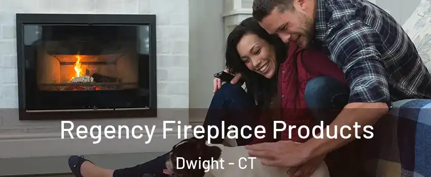 Regency Fireplace Products Dwight - CT
