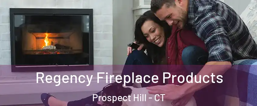 Regency Fireplace Products Prospect Hill - CT