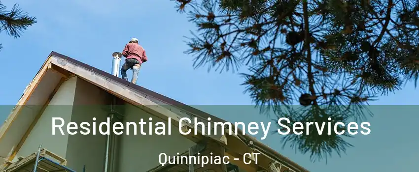 Residential Chimney Services Quinnipiac - CT