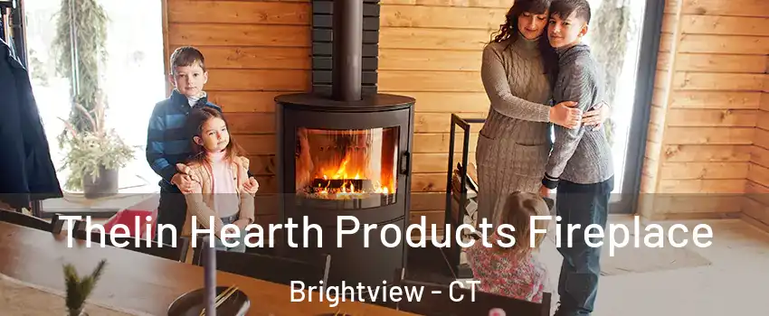 Thelin Hearth Products Fireplace Brightview - CT