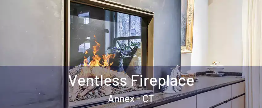 Ventless Fireplace Annex - CT