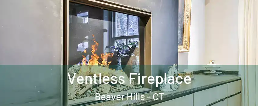 Ventless Fireplace Beaver Hills - CT