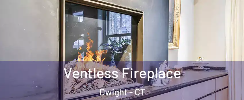 Ventless Fireplace Dwight - CT
