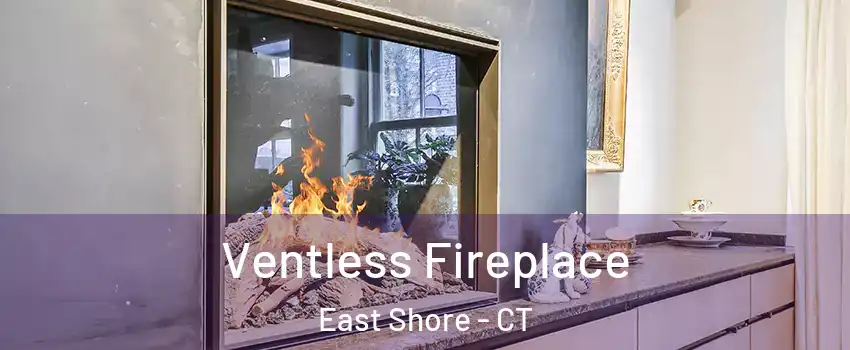 Ventless Fireplace East Shore - CT
