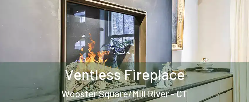 Ventless Fireplace Wooster Square/Mill River - CT