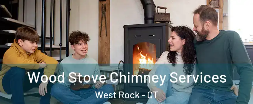 Wood Stove Chimney Services West Rock - CT