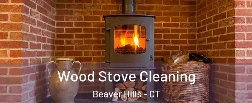 Wood Stove Cleaning Beaver Hills - CT