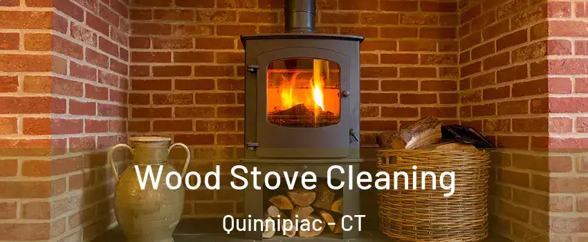 Wood Stove Cleaning Quinnipiac - CT